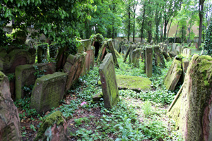 Lost Places FFM – Der jüdische Friedhof Battonnstraße: Wunderrabbiner, Märtyrer & heilige Frauen