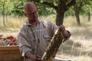 Bienenwanderung mit Honigprobe & Bio-Vesper – Beim Obsthof am Steinberg summt’s & brummt’s!