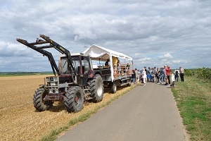 Planwagenfahrt mit Traktor – Bioweinprobe in malerischen Weinbergen