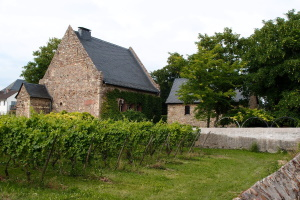 Rheingauer E-Bike-Tour West – Ruinen, Nonnen & Flüsse