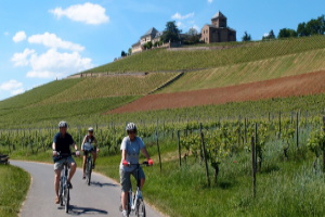 Foto: cult-touren