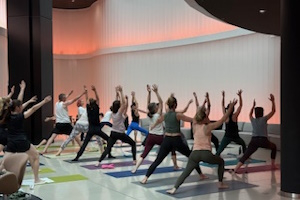 Special Yoga Event — YOGA & Healthy Lunch im EUROTHEUM