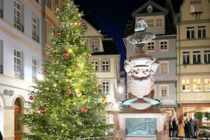 Frankfurter Weihnachtshighlights in 60 Minuten: Paulskirche, Römerberg & mehr – Festlich, historisch, kompakt