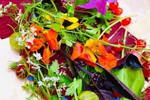 Green Soul Food & Ayurveda – Kochen, Erkennen, Kraft tanken